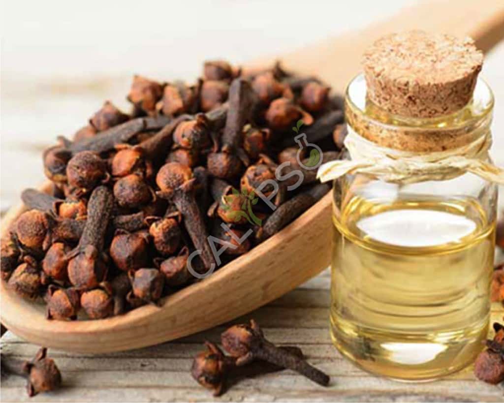 Acquista olio essenziale per chiodi di garofano puro